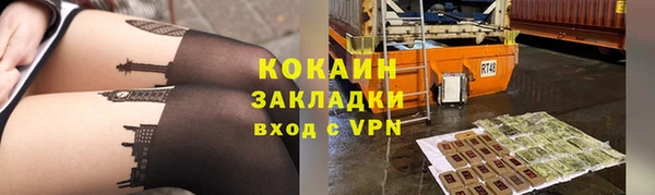 стафф Алексин
