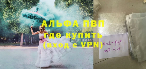 стафф Алексин