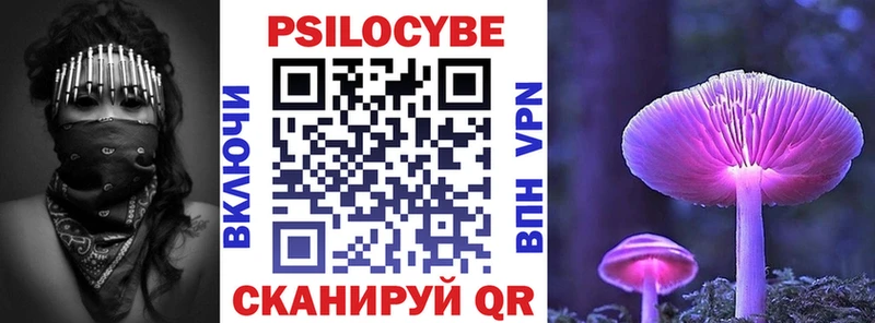 Псилоцибиновые грибы мицелий  что такое наркотик  Алексин 